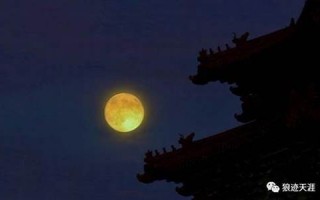 八月十九(农历八月十九)