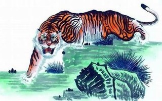 属虎(属虎女2025年的运势及运程)