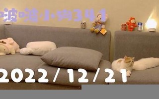 12月21(12月21号是什么星座)