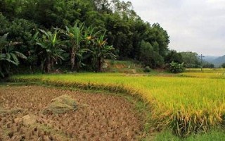 八月初三(八月初三是什么日子)