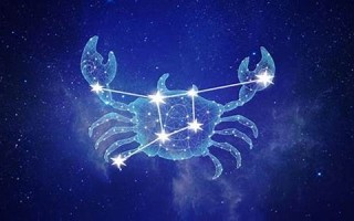 巨蟹座(巨蟹座是土象还是水象)