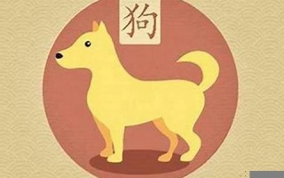 属狗人出生月的命运(属狗人出生月的命运分析)