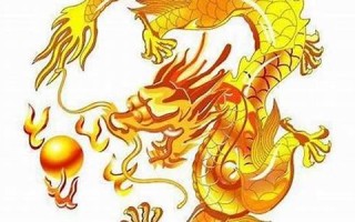 属龙的命运(2000年属龙的命运)