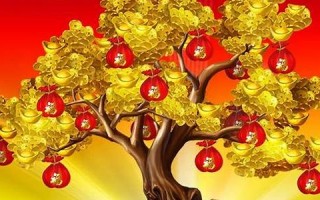 吃亏是福是什么生肖(吃亏是福形容什么生肖)