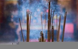 2013蛇年运势(2013蛇年金银纪念币价格回收)