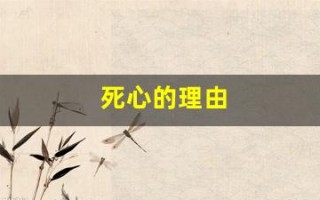 死心的理由(死心的理由歌曲)