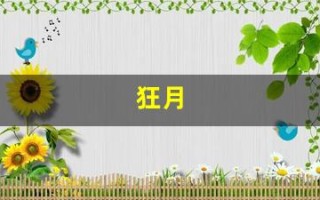 狂月(狂月天时的微博)