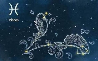 双鱼女性格(属龙双鱼女性格)