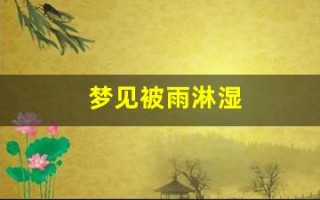 梦见被雨淋湿(梦见被雨淋湿头发)