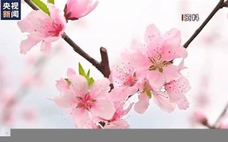 3月21日(3月21日阴历是几月几日)