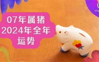 07年属猪的2023年多大(2007年属猪在2023年怎么样)