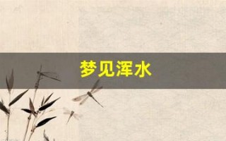 梦见浑水(梦见浑水变清水是什么意思)