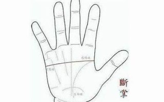 女人断掌手相图解(女人断掌手相图解大全详解)