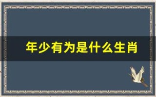年少有为是什么生肖(年少有为指什么生肖)