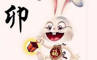 属兔的人2013年运程(属兔的人2013年运程如何)