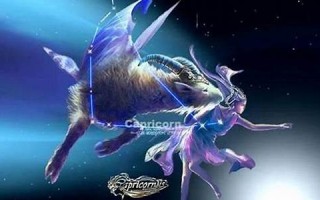 摩羯座女人(摩羯座女今日运势查询)