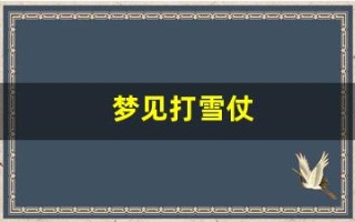 梦见打雪仗(梦见打雪仗)
